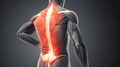 Comment soulager les douleurs dorsales ? On te guide pas à pas.